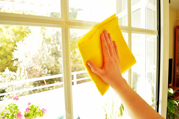 Window Related Services